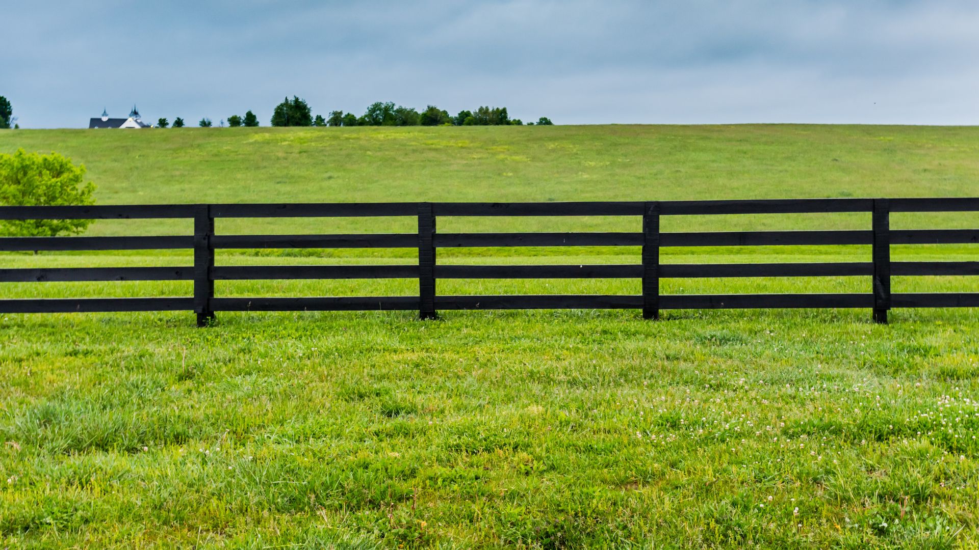 Marketing with Integrity: Boundaries That Fuel Business Growth