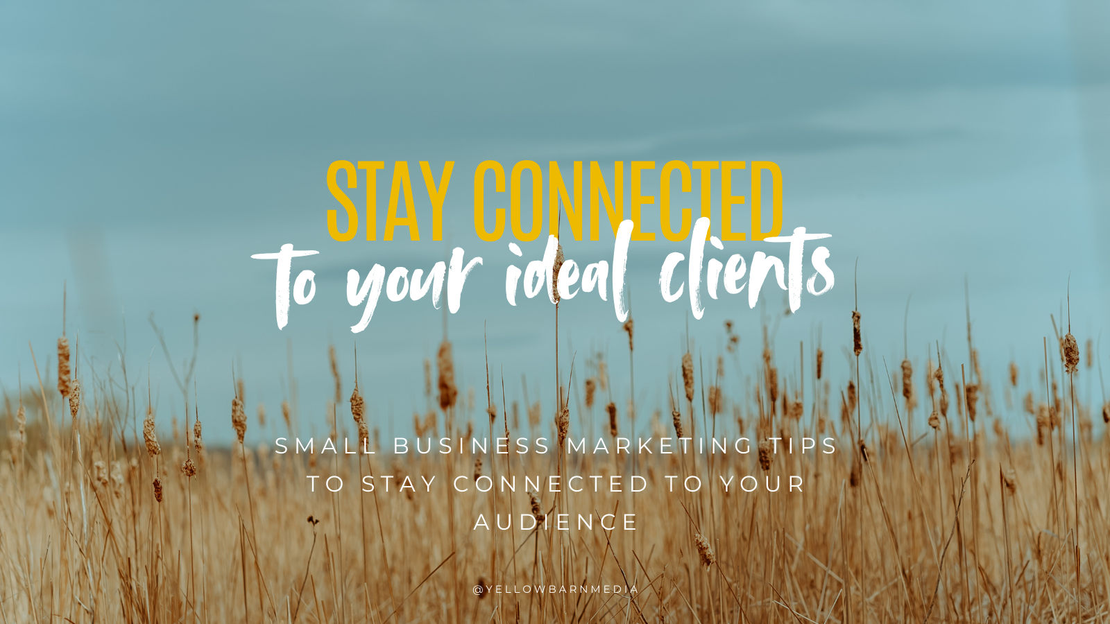 Small Business Marketing Tips